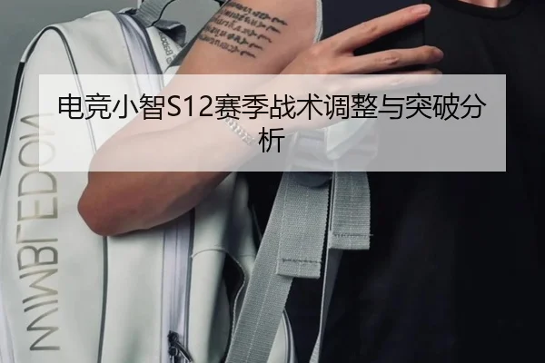 电竞小智S12赛季战术调整与突破分析